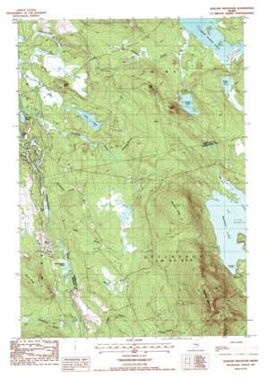 Quillpig Mountain topo map