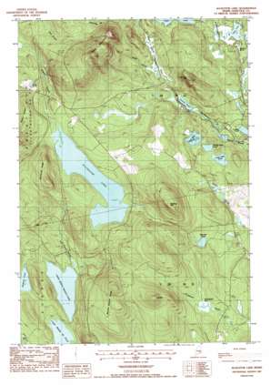 Alligator Lake USGS topographic map 44068h2
