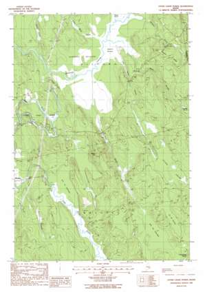 Otter Chain Ponds USGS topographic map 44068h5
