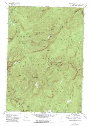 Speckled Mountain topo map