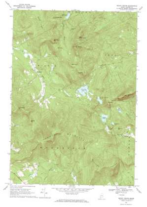 Mount Zircon USGS topographic map 44070d5