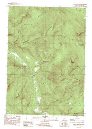 Puzzle Mountain USGS topographic map 44070e7