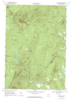 Mount Blue USGS topographic map 44070f3