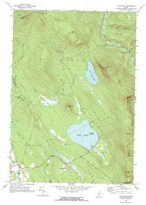 Ellis Pond USGS topographic map 44070f6