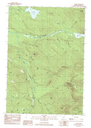 B Pond USGS topographic map 44070f8