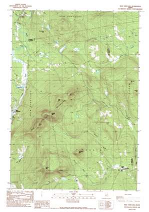 New Vineyard USGS topographic map 44070g1
