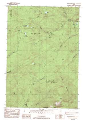 Jackson Mountain USGS topographic map 44070g5