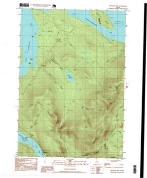 Metallak Mountain USGS topographic map 44070g7