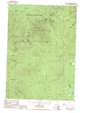 Mount Carrigan topo map