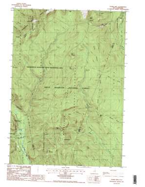 Stairs Mountain USGS topographic map 44071b3