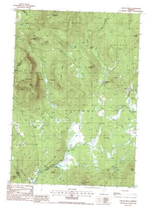 Gallup Mills topo map