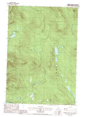 Dummer Ponds USGS topographic map 44071f3
