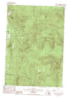Seneca Mountain topo map