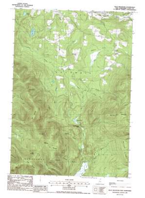 Bunnell Mountain USGS topographic map 44071g4