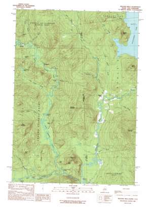 Wilsons Mills USGS topographic map 44071h1