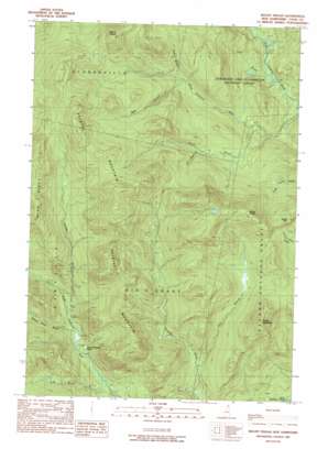 Mount Pisgah USGS topographic map 44071h2