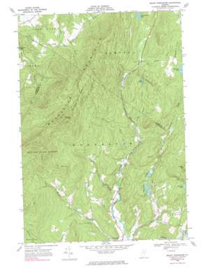 Mount Worcester topo map