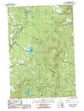 Joes Pond USGS topographic map 44072e2