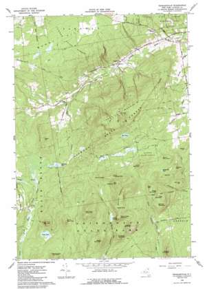 Peasleeville USGS topographic map 44073e6