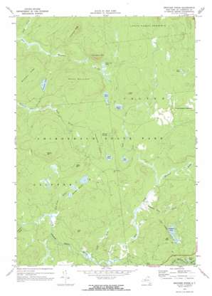 Brother Ponds topo map