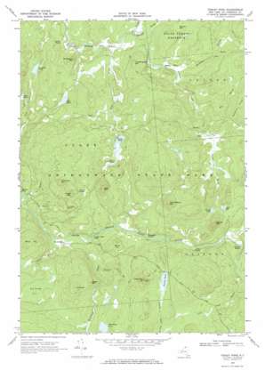 Tooley Pond topo map