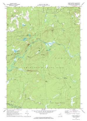 Albert Marsh USGS topographic map 44074d8