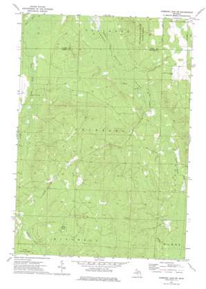 Hubbard Lake Sw USGS topographic map 44083g6