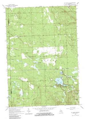 Saint Helen NE USGS topographic map 44084d3
