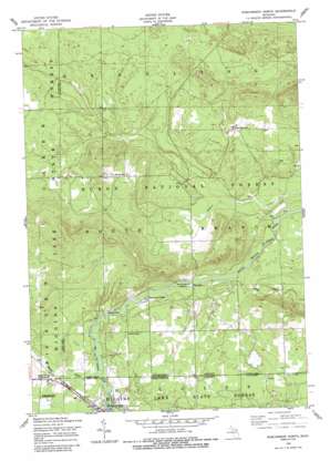 Roscommon North USGS topographic map 44084e5