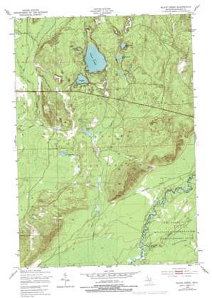 Black Creek USGS topographic map 44084f8