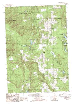 Comins USGS topographic map 44084g1