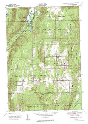 Big Bradford Lake USGS topographic map 44084g6