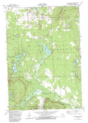 Turtle Lake USGS topographic map 44084h5