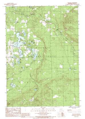 Peacock USGS topographic map 44085a8