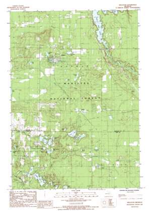 Wellston USGS topographic map 44085b8