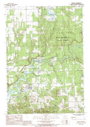 Mesick USGS topographic map 44085d6