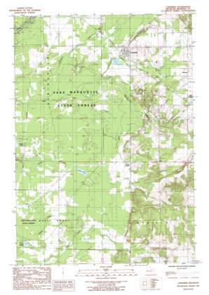 Copemish USGS topographic map 44085d8