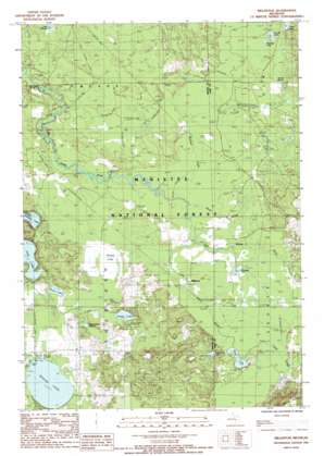 Manistee USGS topographic map 44086a1