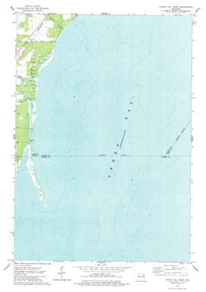 Little Tail Point USGS topographic map 44087f8