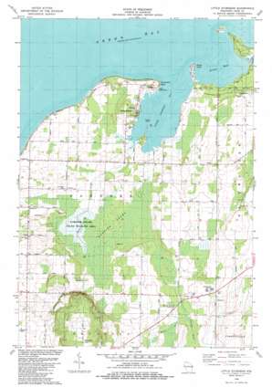 Little Sturgeon USGS topographic map 44087g5
