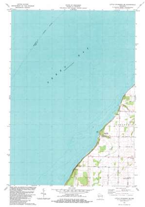 Little Sturgeon SW USGS topographic map 44087g6