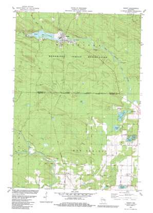 Neopit USGS topographic map 44088h7