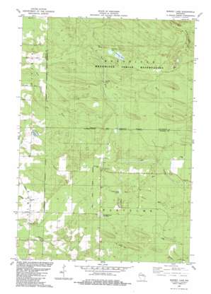 Burney Lake USGS topographic map 44088h8