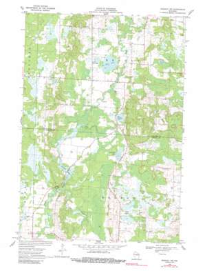 Rosholt Nw topo map