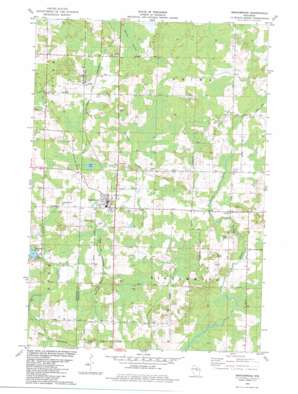 Birnamwood USGS topographic map 44089h2