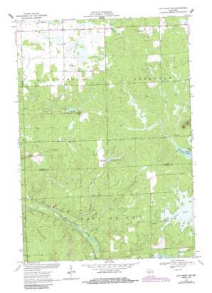 City Point NW USGS topographic map 44090d4