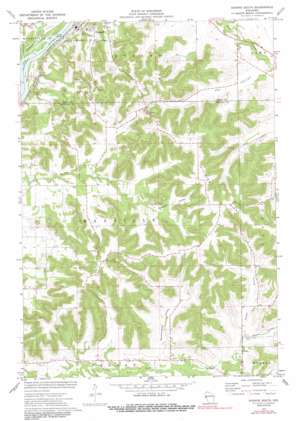 Durand South topo map