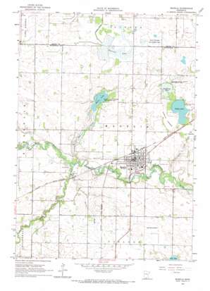 Madelia USGS topographic map 44094a4