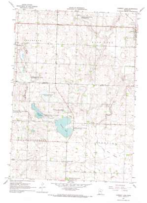Current Lake topo map