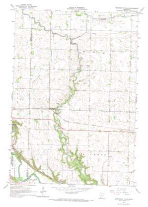 Minnesota Falls topo map